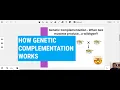 How two mutant parents produce normal offspring - Complementation Testing Genetic Complementation