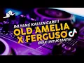 Download Lagu DJ OLD AMELIA X FERGUSO MASHUP PAMBASILET SLOW BASS VIRAL 2021!!!