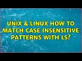 Unix Linux How to match case insensitive patterns with ls 6 Solutions