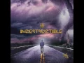 Fiel - Funky - Indestructible 2015