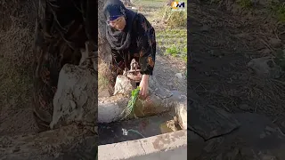 بلبل الشرقية الحاجة نبيلة قلبت السوشيال بأغنية هات إيديك ياولا وتعالى نجري ابوكبير ميديا اكسبلور 