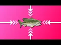 Top 3 Ways to Center a DIV with CSS