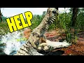 Download Lagu Deinosuchus Is the Worst It's Ever Been – What Happened?