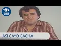 Asi cayo hace 30 anos el temible narcotraficante Gonzalo Rodriguez Gacha - Noticias Caracol