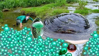 The giant clams on the high mountains are filled with countless sparkling green pearls, so beautiful