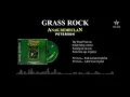 Download Lagu GRASS ROCK - Peterson Anak Rembulan