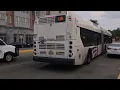NJT Buses Short 119 Action