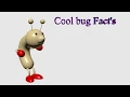 Cool bug Fact s