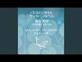 Download Lagu Sayonara No Natsu