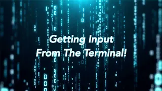 Master Python Getting Input From the Terminal