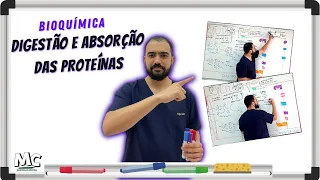 Bioquímica: Digestão Absorção das Proteínas
