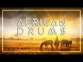 Lagu AFRICAN DRUM MUSIC • Tribal Beats • Shaman Dance • Unleash your Primal Self
