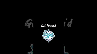 Get Honu’d! #shorts #sailingadventures #carribean #travel