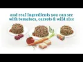 1 Purina Beneful IncrediBites Variety Pack Canned Dog Food PuppySimply