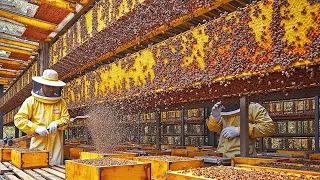 هكذا ت ربي أكبر مزارع النحل مليارات النحل وت نتج ملايين الأطنان من العسل 