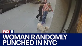 81-year-old woman randomly punched in NYC