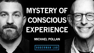 What Humans, Animals and Plants Tell Us About Consciousness | Michael Pollan