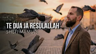 Te dua ja Resulallah - Shefi Mamuti (Official Video 2026)