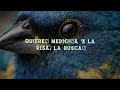 Duki - Hello Cotto (Lyrics/Letra)