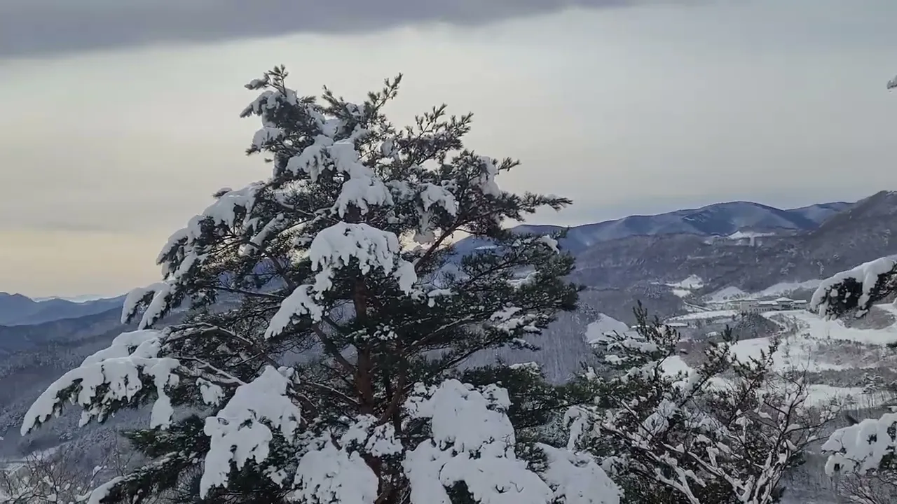 관련 영상 썸네일