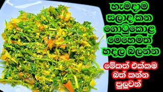 ගොටුකොළ මෙහෙම පුදුමාකාර රසක් | ගොටුකොළ ව්‍යංජනය | Gotukola Curry Kusala's Simple Life 