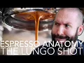 Lagu ESPRESSO ANATOMY - The Lungo Shot