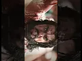 Download Lagu Chhatrapati Sambhaji Maharaj x Toofan | Shivaji Maharaj whatsapp status #shivajimaharaj #hindu