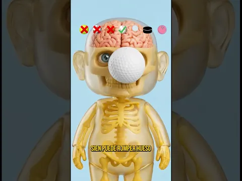 #homosapiens ¿Qué pelota podría romperte la cabeza si te impacta?
