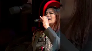 غزلان بين الضلوع صالة الذكريات2025 اكسبلور جديدي ميوزكلي اغاني كلجديد لايك حفلات  غزلان بين الضلوع صالة الذكريات2025 اكسبلور جديدي ميوزكلي اغاني كلجديد لايك حفلات