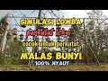 Download Lagu simulasi lomba perkutut lokal