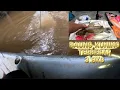 Download Lagu Ancaman baung ekor merah kembali menguasai wilayah sungai jelai