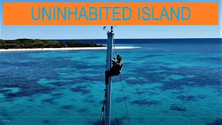 Breaching whale while SAILING to protected UNINHABITED ISLAND Ep 101
