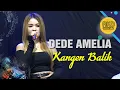 Download Lagu Kangen Balik Dede Amelia || Live Musik RKD Official