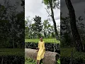 Download Lagu 🌷🦋  #newvideo#short#assamesesong #odhikar#