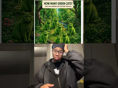 How many?🤔 #shortsfeed #duet #hiphopvibe #funny #exploreshorts #greenscreen #subscribemychannel