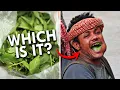Download Lagu Khat: Dangerously Addictive Or Harmless Upper?