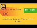 10 How to Input Text into Alert Selenium - Robot Framework