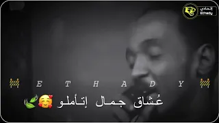 محمود عبدالعزيز ونادر خضر أنساك 