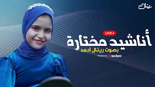 أناشيد مختارة ريتال أحمد بث مباشر 