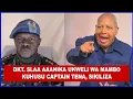 Download Lagu DUH! ALICHOKISEMA DKT SLAA KUHUSU VIDEO YA CAPTAIN TESHA KUZUA TAHARUKI NCHINI