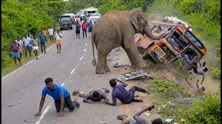 The driver thought they were safe until this happened 💥 #elephantattack #elephant