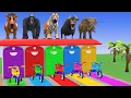 Long Slide Game with Cow Elephant Gorilla Hippopotamus Tiger 3d Animal Game Funny 3d Animals