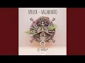 Download Lagu Vagabundo