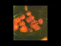 pale saints  fine friend extended