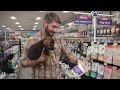 Welcome to Kahoots Knowledgeable People Premium Pet Nutrition