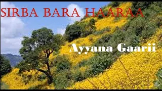 Sirba Bara Haaraa Afaan Oromoo Bara 2015 New Year Oromic Music 2015 