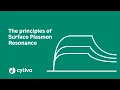 Principles of surface plasmon resonance SPR used in Biacore systems - Cytiva