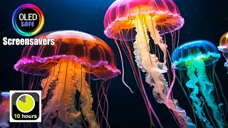 Jellyfish Screensaver - Neon