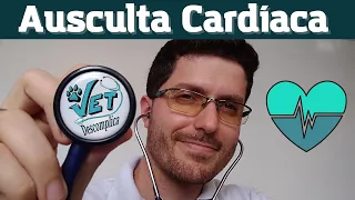 Como fazer ausculta cardíaca na veterinária?