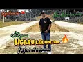 Download Lagu SIGARU LOLON IDA lagu Timor Leste 🇹🇱  abito gama -jefri haki cover
